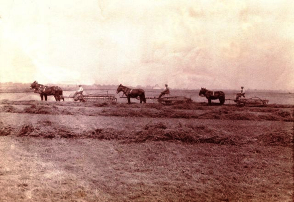 Belle Grove Plantation – 1920s