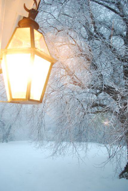 Lantern Snow